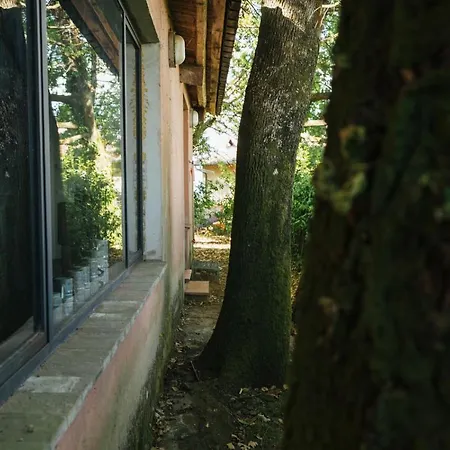 Studio/flat Rustic Tuscan Marziani 2 Capannori