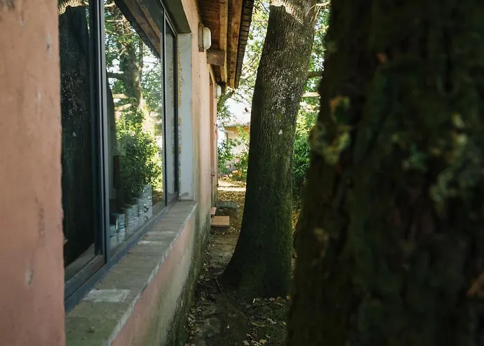 Studio/flat Rustic Tuscan Marziani 2 Капаннори